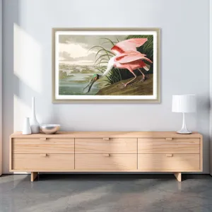 Roseate Spoonbill Framed Art