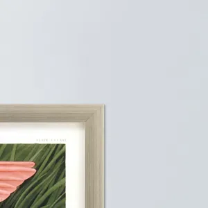 Roseate Spoonbill Framed Art