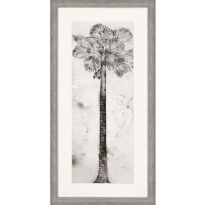 Palmae Framed Art