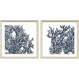 Blue Coral I S/2 Framed Art