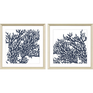 Blue Coral II S/2 Framed Art