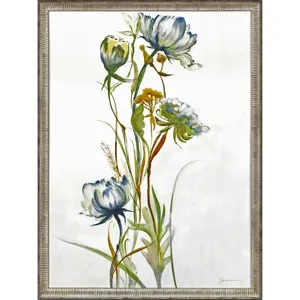 Late Summer Wildflower I Framed Art