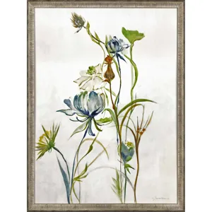 Late Summer Wildflower II Framed Art