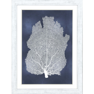 Sea Fan on Blue I Framed Art