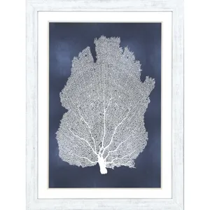 Sea Fan on Blue I Framed Art