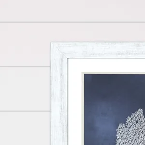 Sea Fan on Blue I Framed Art