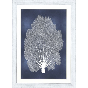 Sea Fan on Blue II Framed Art