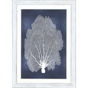 Sea Fan on Blue II Framed Art