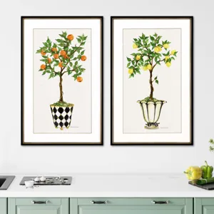 Fruit Topiary S/2 Framed Art