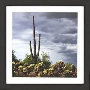 Saguaro Centurion Framed Art