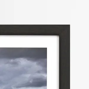 Saguaro Centurion Framed Art