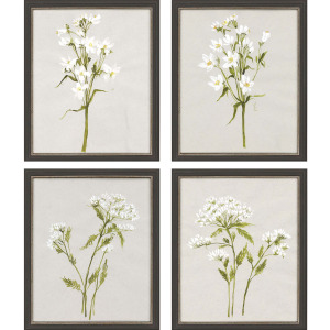 White Field Flowers S/4 Framed Art