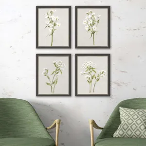 White Field Flowers S/4 Framed Art