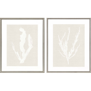 Seaweed S/2 Framed Art
