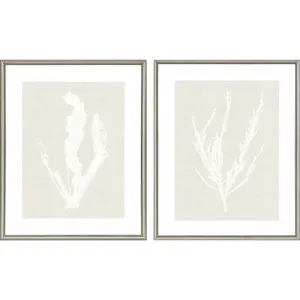 Seaweed S/2 Framed Art