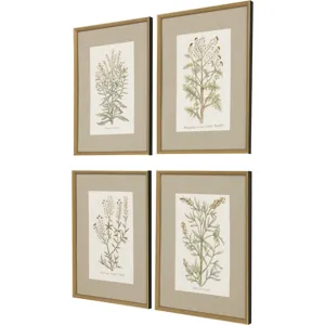 Botanical Plants S/4 Framed Art