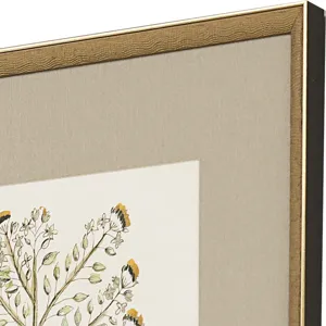 Botanical Plants S/4 Framed Art