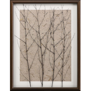 Whispering Forest Framed Art