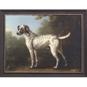 Grey Spotted Hound Framed Art
