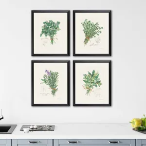 Herbs S/4 Framed Art