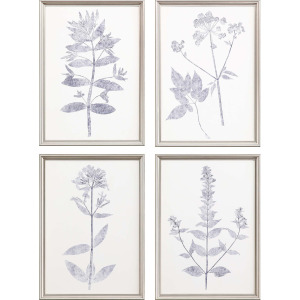 Navy Botanicals S/4 Framed Art
