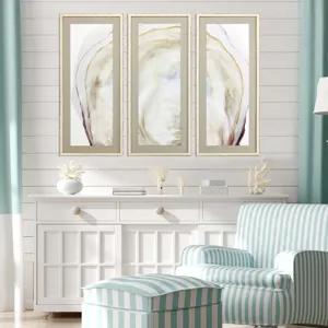 Oyster Shell S/3 Framed Art