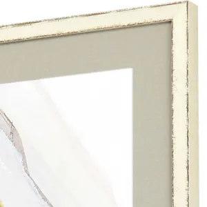 Oyster Shell S/3 Framed Art