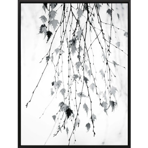 Subtle Canvas
