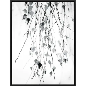 Subtle Canvas