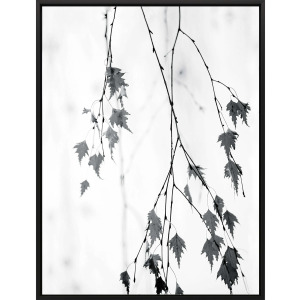 Hanging Canvas