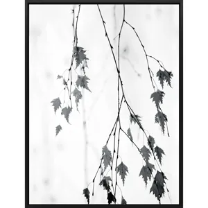 Hanging Canvas