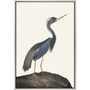 Great Heron I Canvas