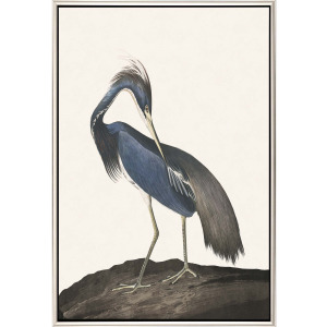 Great Heron II Canvas