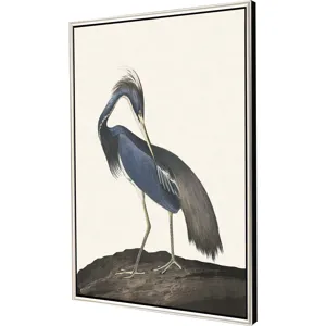 Great Heron II Canvas