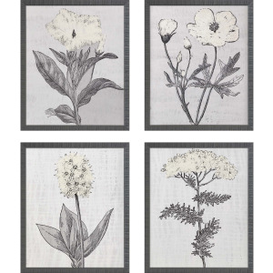 Pure Garden S/4 Framed Art