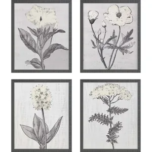 Pure Garden S/4 Framed Art