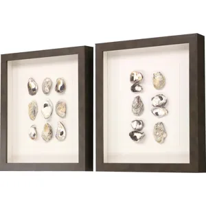 Shell Series S/2 Framed Art