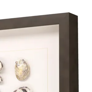 Shell Series S/2 Framed Art