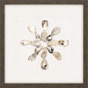 Oyster Shell I Framed Art