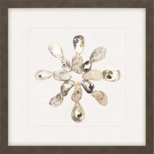 Oyster Shell I Framed Art