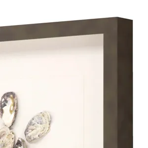 Oyster Shell I Framed Art