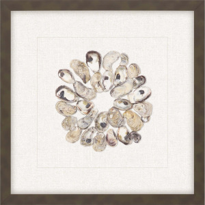 Oyster Shell II Framed Art