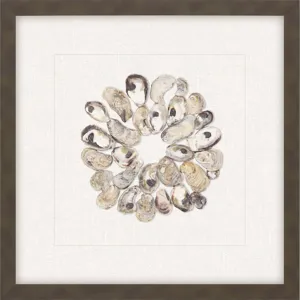 Oyster Shell II Framed Art