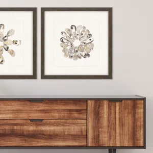 Oyster Shell II Framed Art