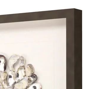 Oyster Shell II Framed Art