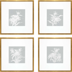 Echinacea S/4 Framed Art