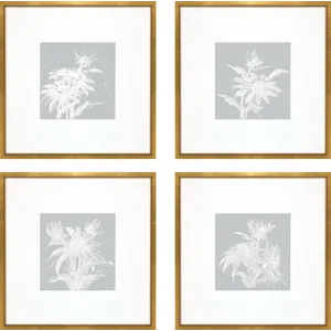Echinacea S/4 Framed Art