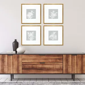 Echinacea S/4 Framed Art