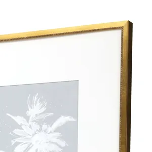 Echinacea S/4 Framed Art
