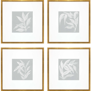 Leaf Study S/4 Framed Art